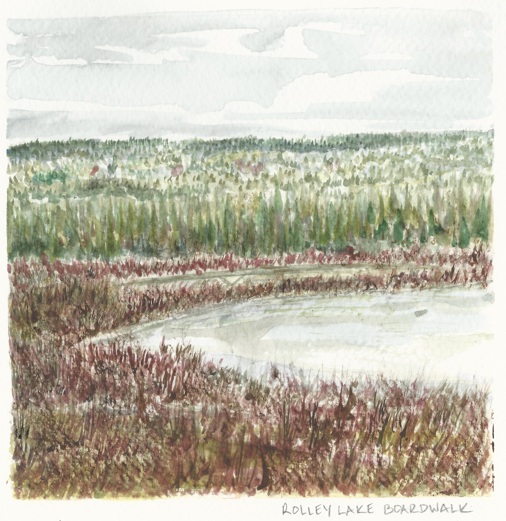 Watercolor Fine Art Print - Rolley Lake Boardwalk